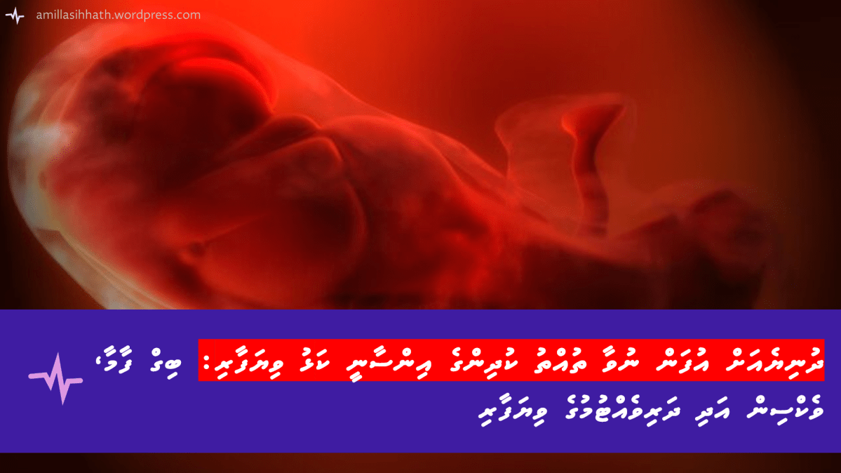 ދުނިޔެއަށް އުފަން ނުވާ ތުއްތު ކުދިންގެ އިންސާނީ ކަޅު ވިޔަފާރި: ބިގް ފާމާ، ވެކްސިން އަދި “ފީޓަސް” ނުވަތަ ދަރިވެއްޓުމުގެ&nbsp;ވިޔަފާރި